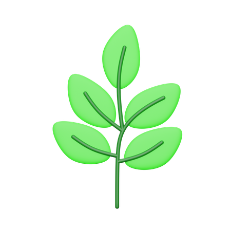 Leaves  3D Icon