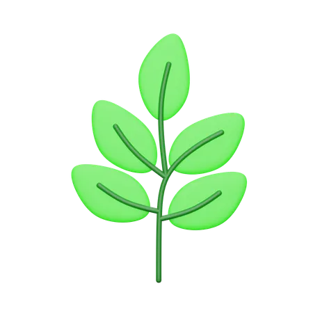 Leaves  3D Icon