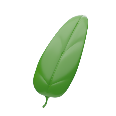 Leaves  3D Icon