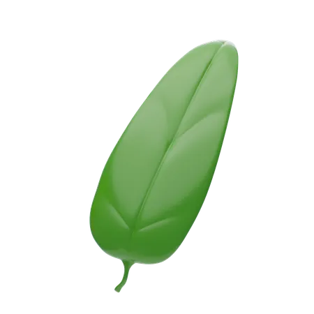 Leaves  3D Icon