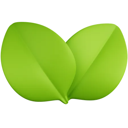 Leaves  3D Icon