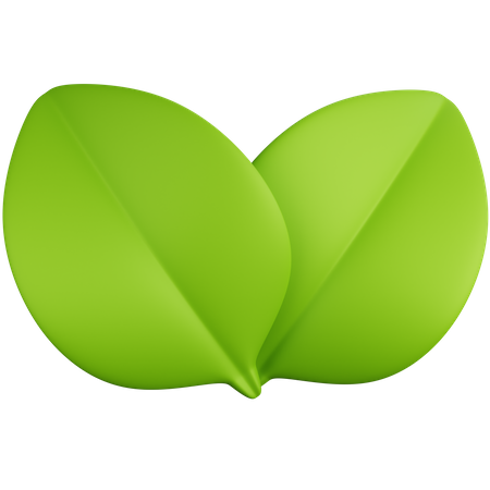 Leaves  3D Icon