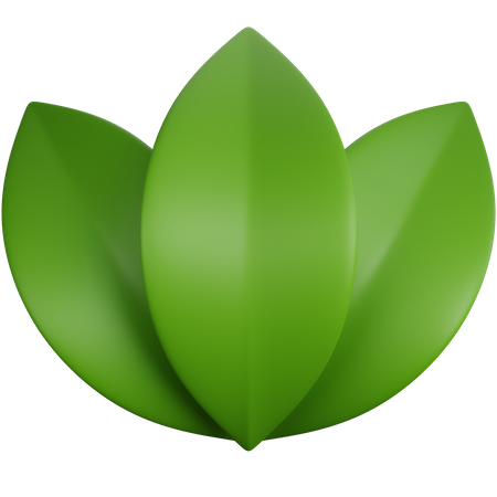 Leaves  3D Icon