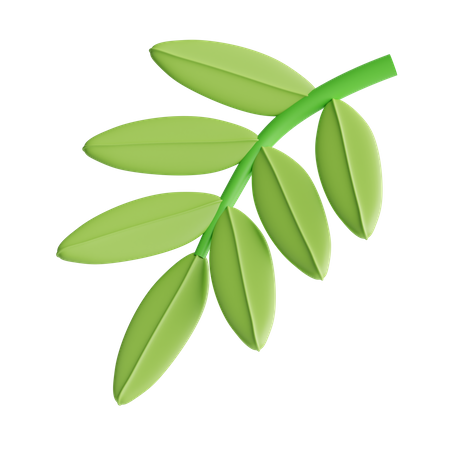 Leaves  3D Icon