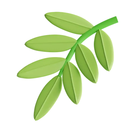 Leaves  3D Icon