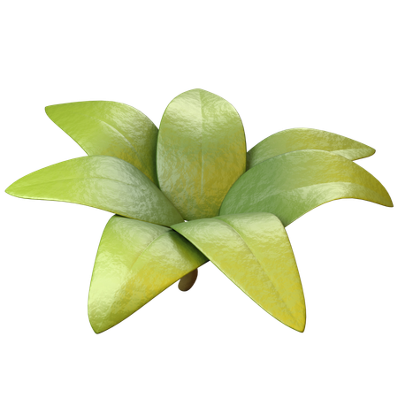 Leaves  3D Icon