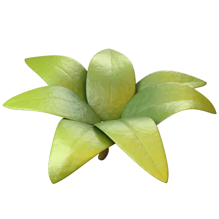 Leaves  3D Icon