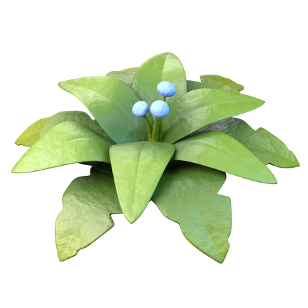 Leaves  3D Icon