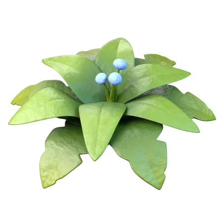 Leaves  3D Icon