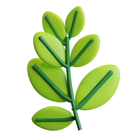 Leaves  3D Illustration