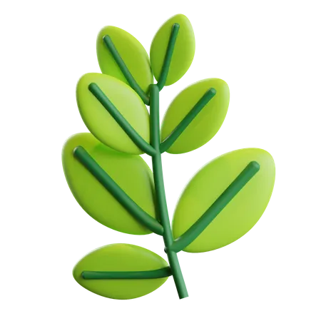 Leaves  3D Illustration