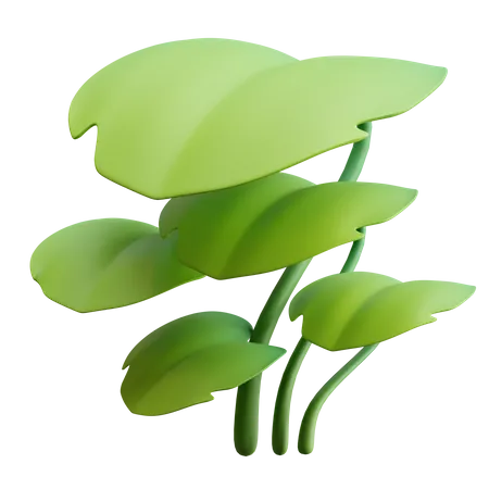 Leaves  3D Illustration