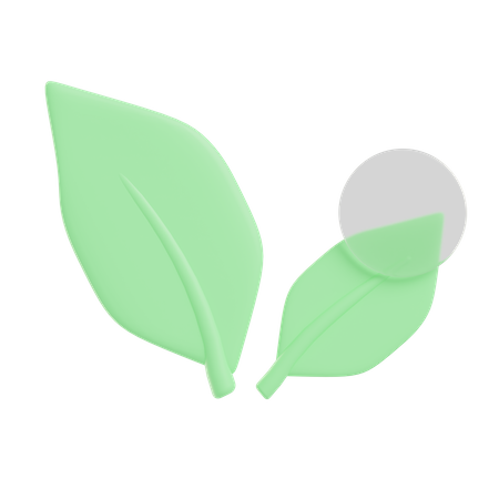 Leaves  3D Illustration