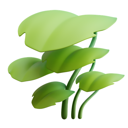 Leaves  3D Illustration