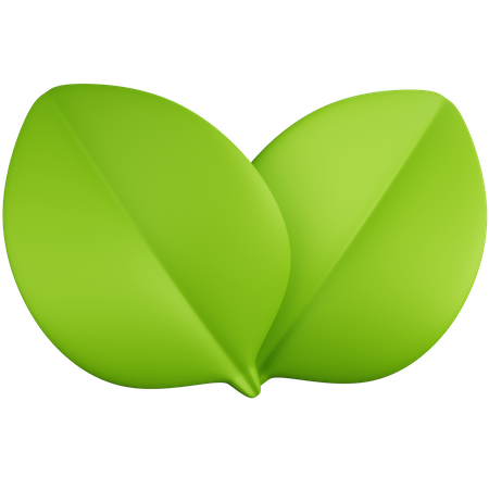 Leaves  3D Icon