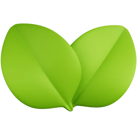 3 D Rendering Two Green Leaves Isolated 3D Icon