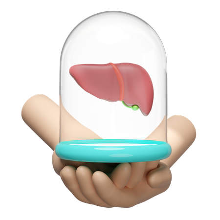 Leberkuppel  3D Icon