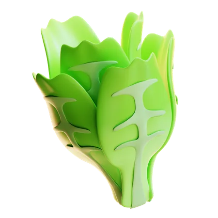 Lechuga  3D Icon