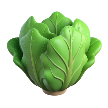 Lechuga  3D Icon