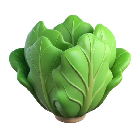 Lechuga  3D Icon