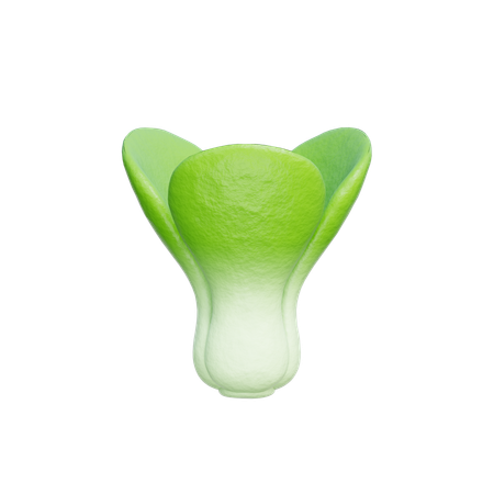 Lechuga  3D Icon