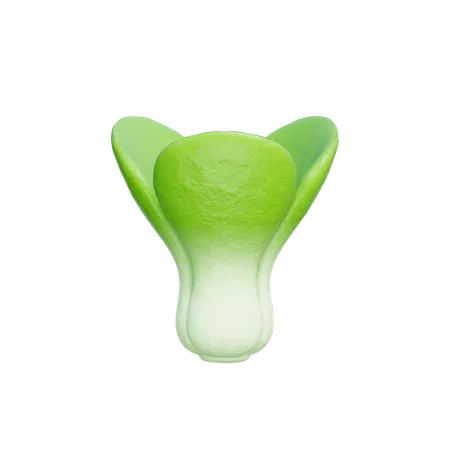 Lechuga  3D Icon