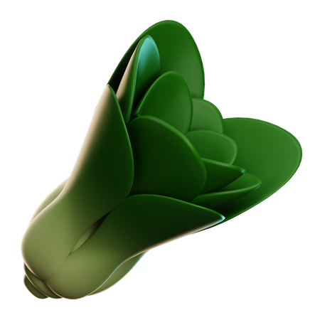 Lechuga  3D Icon