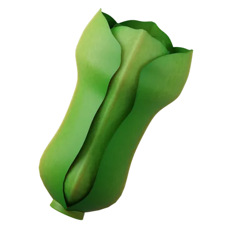 Lechuga  3D Icon