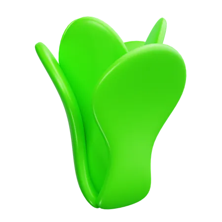 Lechuga  3D Icon