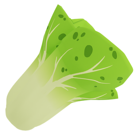 Lechuga  3D Icon