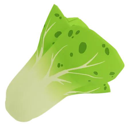 Lechuga  3D Icon