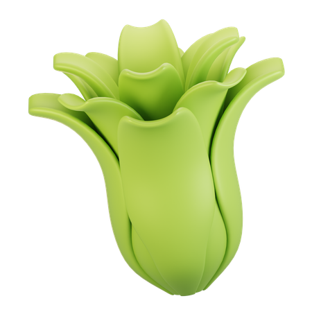 Lechuga  3D Icon