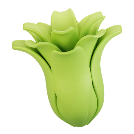 Lechuga  3D Icon