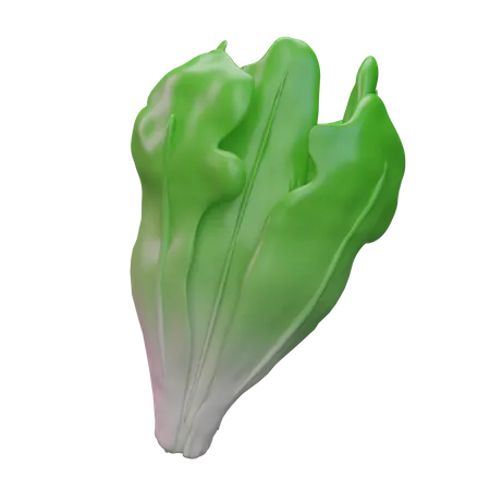 Lechuga  3D Icon