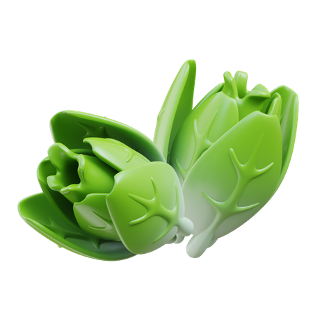 Lechuga  3D Icon