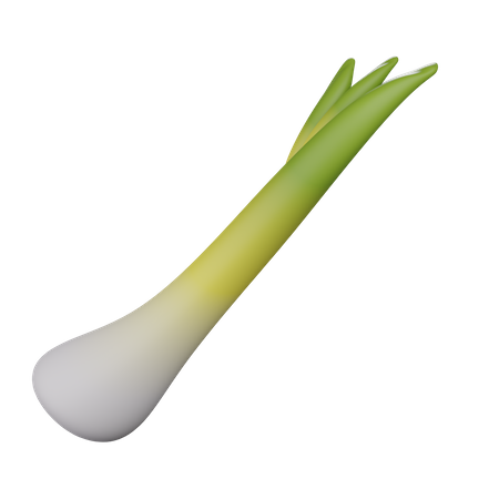 Leek 2  3D Icon