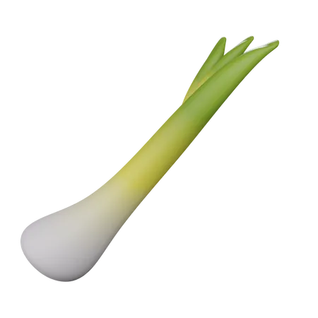 Leek 2  3D Icon