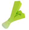 Leek