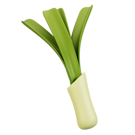 Leek  3D Icon