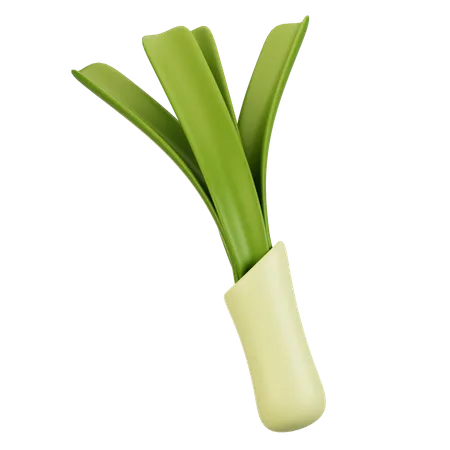 Leek  3D Icon