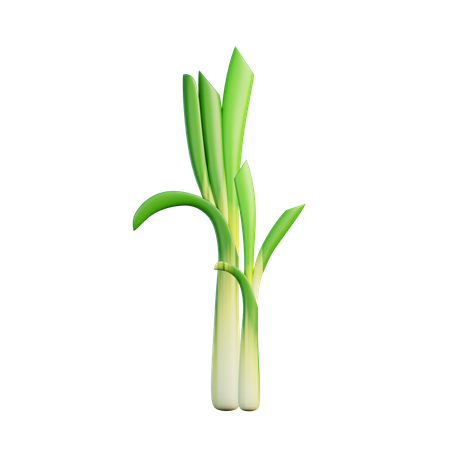 Leek  3D Icon