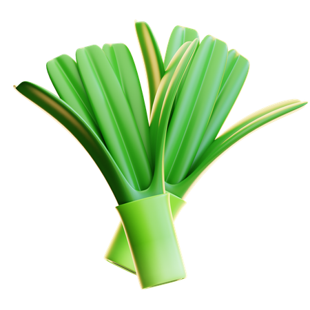 LEEK  3D Icon