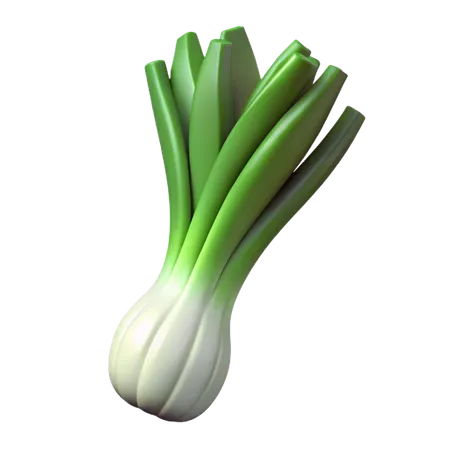 Leek  3D Icon