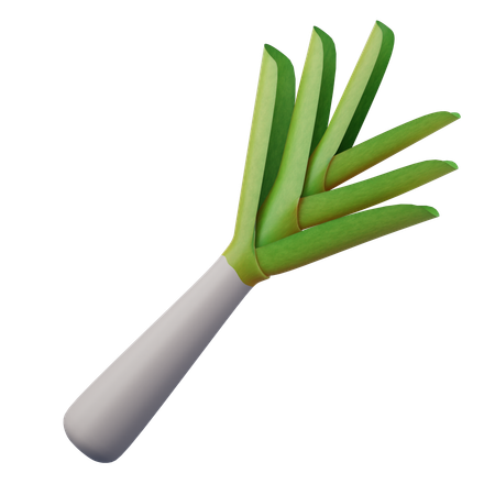 Leek  3D Icon