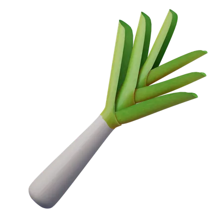 Leek  3D Icon