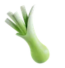 Leek