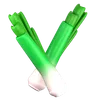 Leek