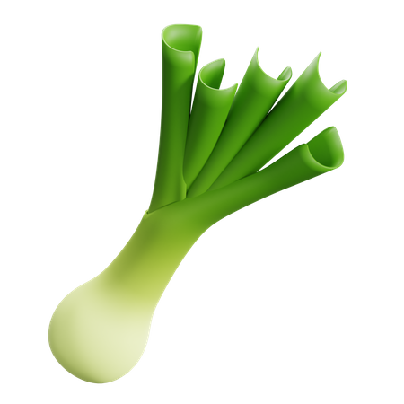 Leek  3D Icon