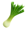 Leek