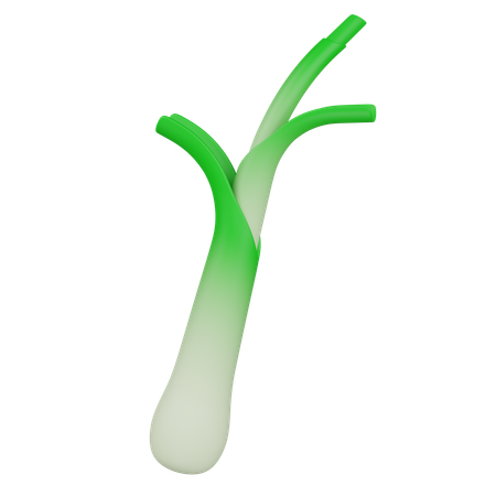 LEEK  3D Icon